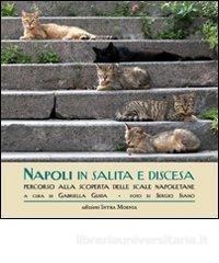 napoli-in-salita-e-discesa