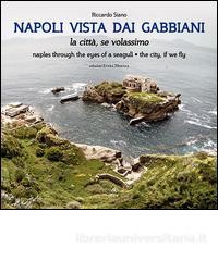 napoli-vista-dai-gabbiani-ita-ing