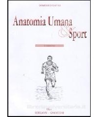 anatomia-umana--sport